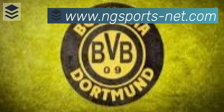 南宫体育合作伙伴