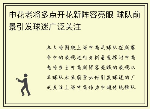 申花老将多点开花新阵容亮眼 球队前景引发球迷广泛关注