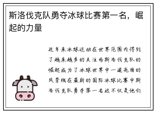 斯洛伐克队勇夺冰球比赛第一名，崛起的力量