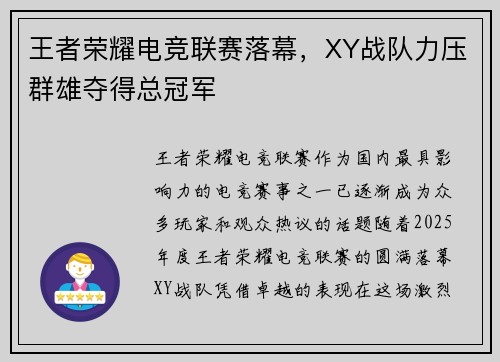 王者荣耀电竞联赛落幕，XY战队力压群雄夺得总冠军